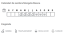 Llavors varietats locals - Mongeta blanca