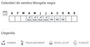 Llavors varietats locals - Mongeta negra