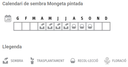 Llavors varietats locals - Mongeta pintada