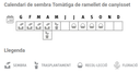 Llavors varietats locals - Tomàtiga de ramellet de canyisset