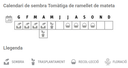 Llavors varietats locals - Tomàtiga de ramellet de mateta