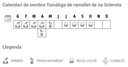 Llavors varietats locals - Tomàtiga de ramellet de na Solereta