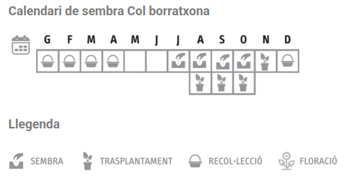 Llavors varietats locals - Col borratxona