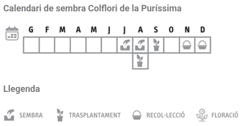 Llavors varietats locals - Colflori de la Puríssima