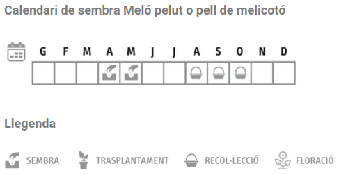 Llavors varietats locals - Meló pell de melicotó